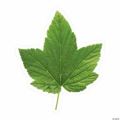 Flash Sale 🎁 Schoolgirl Style™ Green Leaf Bulletin Board Cutouts - 36 Pc. 😉